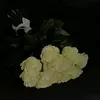 lily_i33