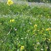 mohammad.alenezi31