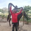 anibal.alvarado8