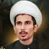 مجتبى الزركوشي1