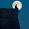 m__khlf
