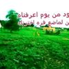 yahyamed828