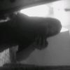 nicolcita.latoxic