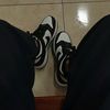 _vargas.12