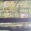 ale60267