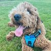 summerspawty
