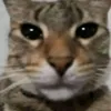 nobody_cares_about_rie