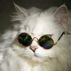 pink_panther6666