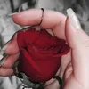 am.sorae