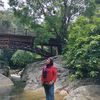 machyar_diana80