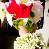 nishi.islam52