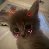 nguyenthikhanhly168