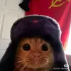 itz_arthurjrr