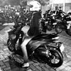 navjaa_
