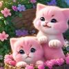 sharif.mandal1