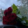 arda_nazli03