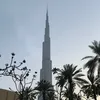 ghalibacha28