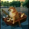 doge1249