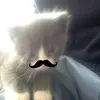 vihan_2910