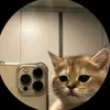 mimi.201048