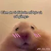 bunmotchut_00