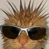 ducminhduc12