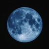 xbluemoonxoo