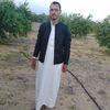 user238751419884