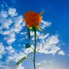 aishaali28_06