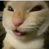 victorstiktok4