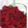 fawziah.jassem