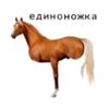 dasha_boberrr