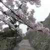 asvic_007