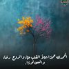 user70090088666372