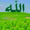 user6738113307498