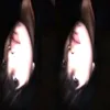 ellqwp