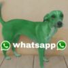 tost3050