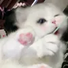 _d_e_n_is_