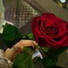 rozi.m14