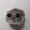 bulkyballs7