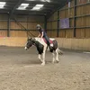 zb3jx83