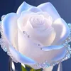gwen.stefany0