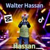 hassan3333333333335