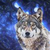 lolfox1322