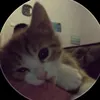 missqh_