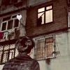 eli.babayev012