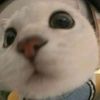 yocas_enmo205