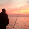 Bangkong Laut