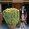 trn.c.minh805
