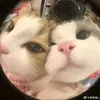 trngmai_04